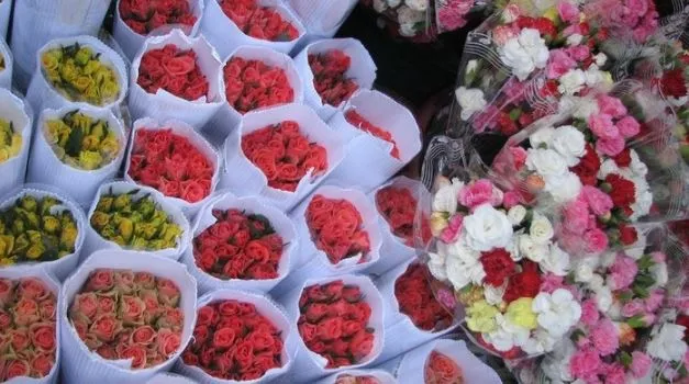 Tips and advice on selecting fresh and vibrant flowers.