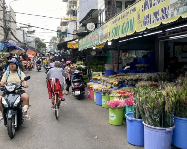 Kinh nghiệm mua hoa chợ hoa Hồ Thị Kỷ: Chọn vựa hoa uy tín