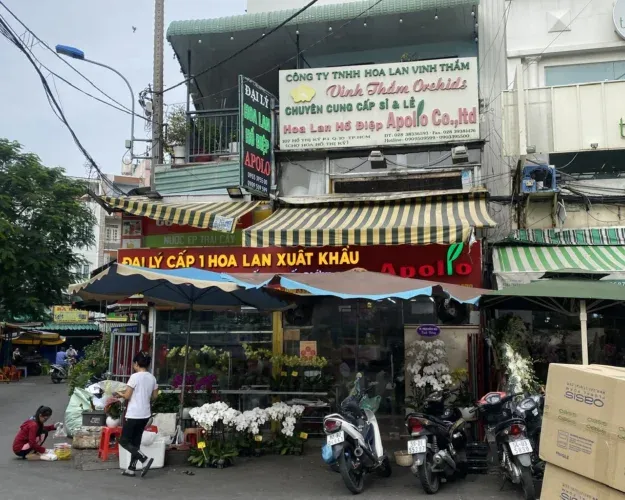 Kinh nghiệm mua hoa tại chợ Hồ Thị Kỷ: Đàm phán giá hợp lý