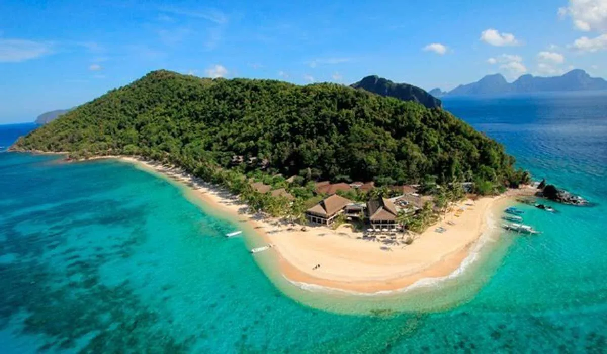 Snorkeling to see coral reefs in Con Dao, Ba Ria - Vung Tau, exploring the pristine beauty of the ocean