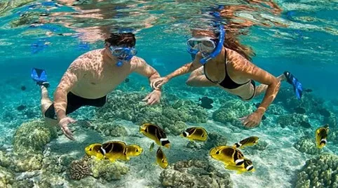 Snorkeling to see coral reefs at Hon Mun
