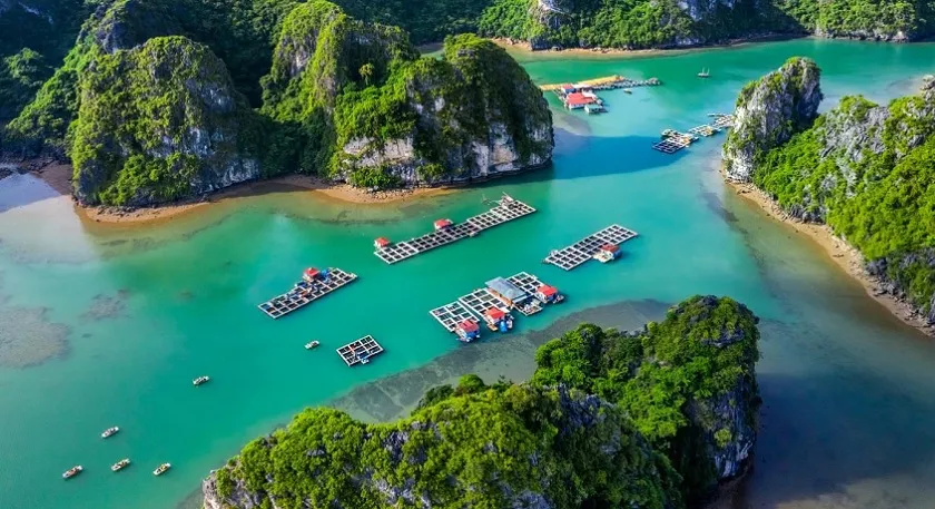 Vung Vieng floating fishing village in Bai Tu Long Bay