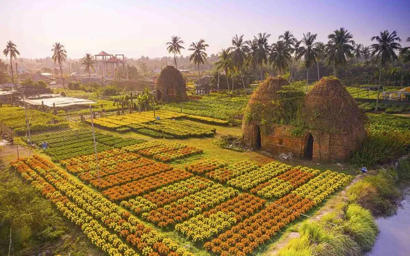 Cai Mon flower village in Ben Tre during spring