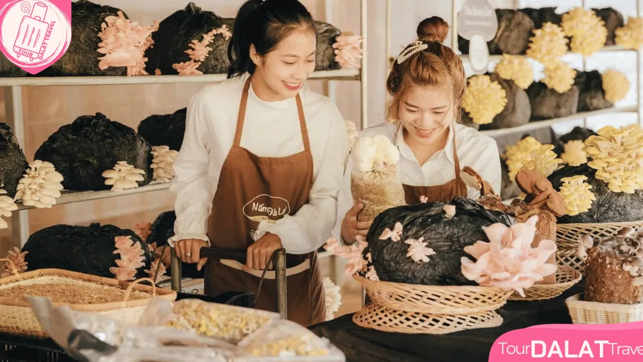 Làng nấm Đà Lạt
