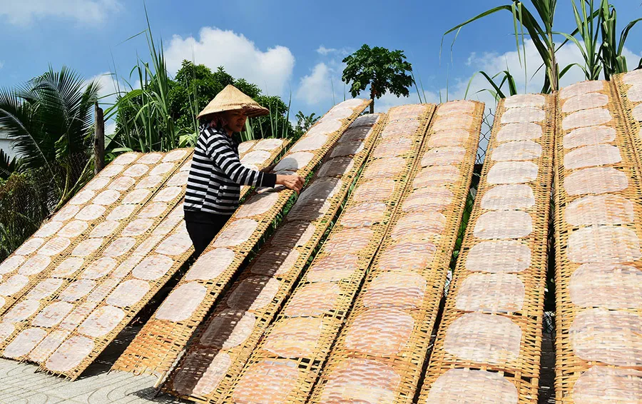 Làng nghề bánh tráng Trảng Bàng, nét đẹp văn hóa truyền thống của Tây Ninh