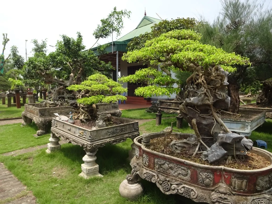 Làng sinh vật cảnh Hồng Vân nằm ở phía Đông huyện Thường Tín, cách trung tâm Hà Nội khoảng 20km về phía Nam - Ảnh sodulich.hanoi