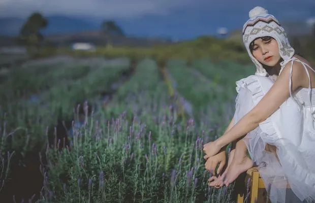 Lavender field in Cau Dat Tea Hill, Da Lat