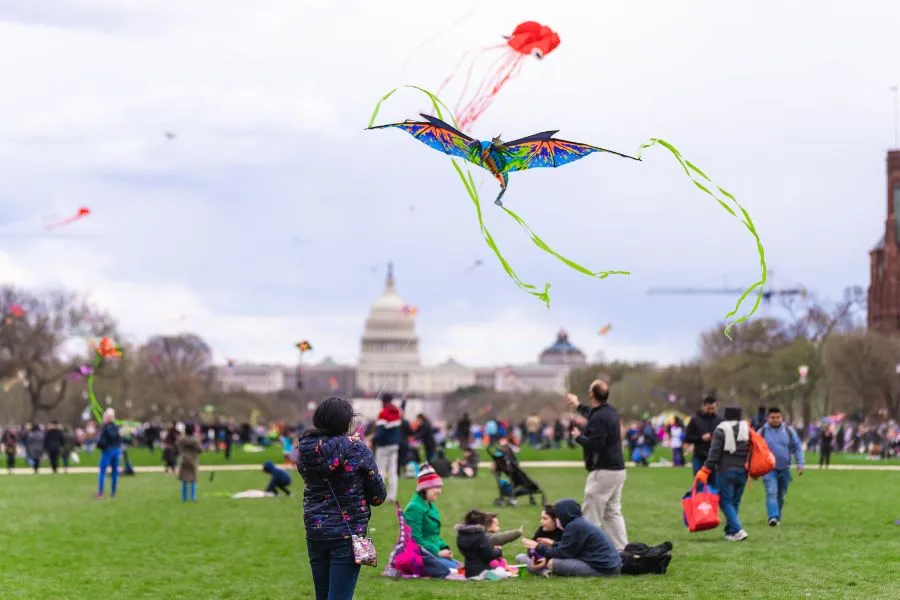 Kite Festival at the National Cherry Blossom Festival