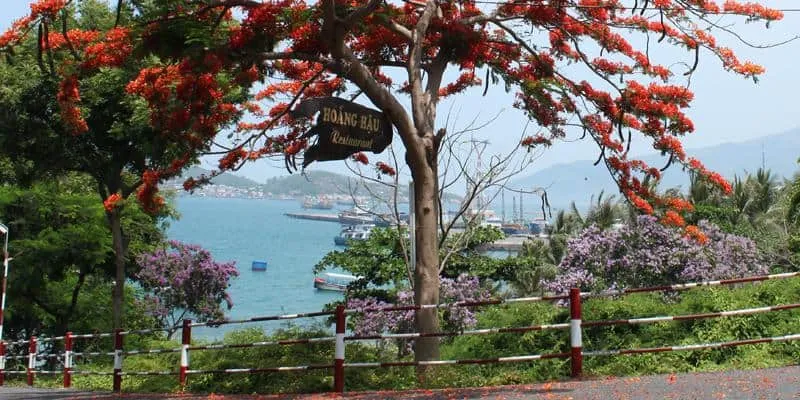 Lối đi xuống bãi biển Hoàng Hậu Quy Nhơn