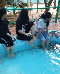 Fish foot massage at Nui Coc Lake