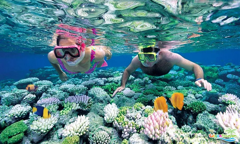 Máy bay hạ cánh xuống sân bay Phú Quốc