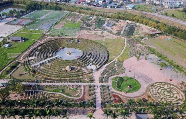 Unique circular maze made of henna trees