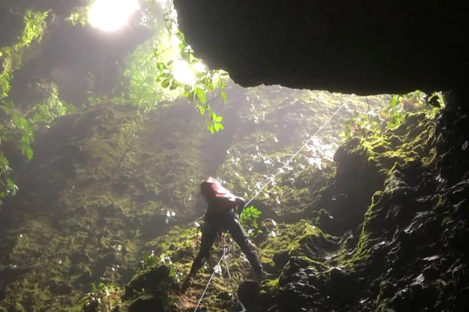A corner of a cave with many strangely shaped stalactites
