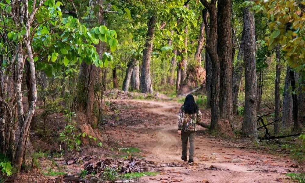 Dry season is the best time to visit Chu Yang Sin National Park
