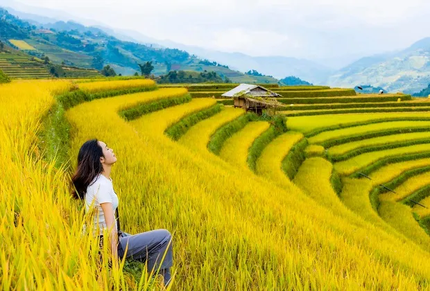 If you like the "peacefulness" of the Northwest, come to Mu Cang Chai