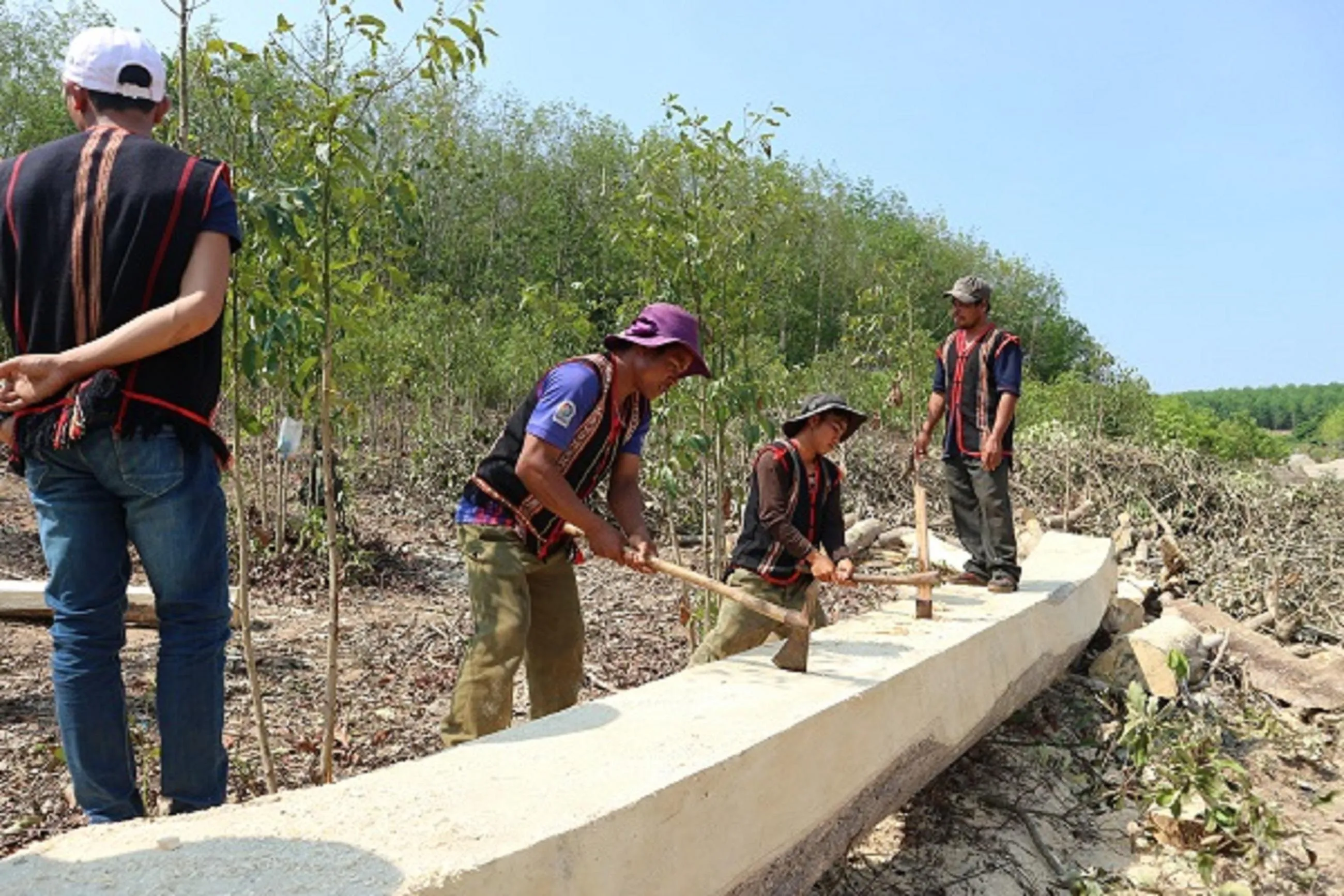 Craftsmen continue to build dugout canoes despite material scarcity