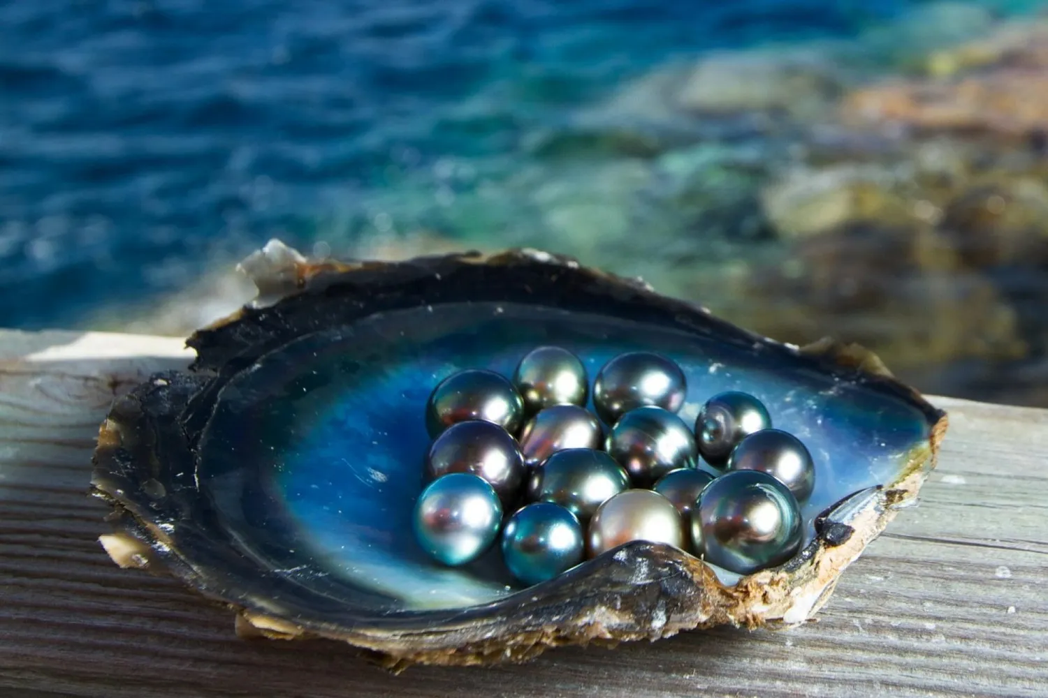 Black pearls are highly valuable and the rarest type of pearls.