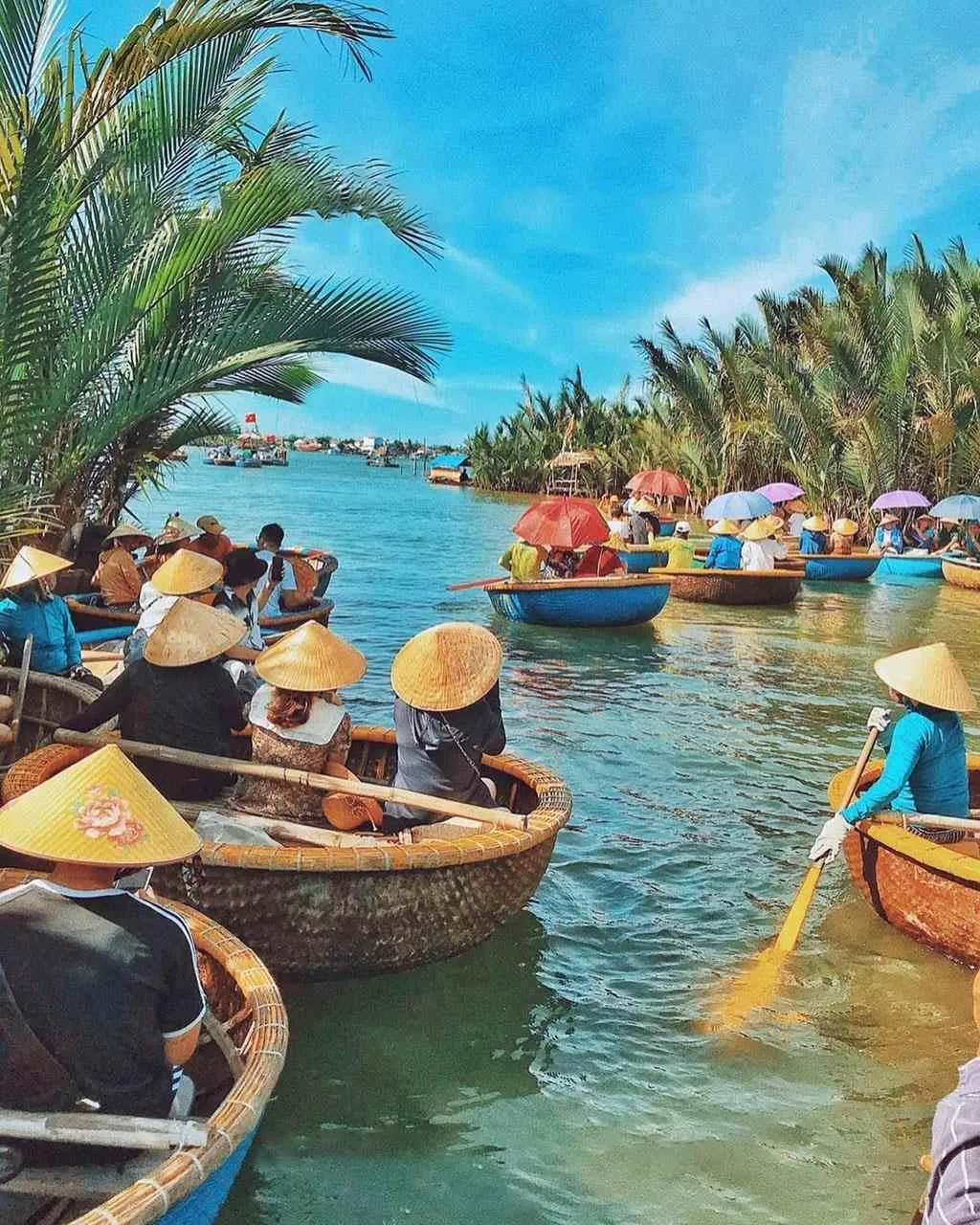 Basket boat ride in Bay Mau Coconut Forest, a unique experience not to be missed.