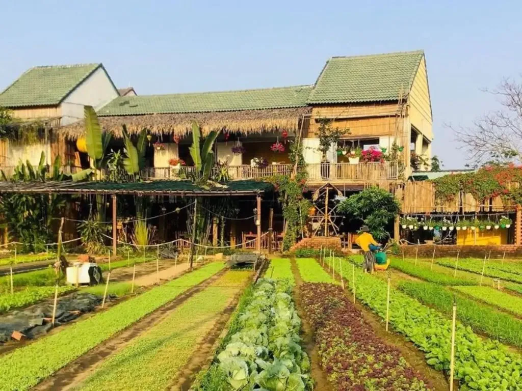 Villagers of Tra Que Vegetable Village beaming with joy on the day of receiving the certificate of National Intangible Cultural Heritage, a significant milestone in the village's craft development history