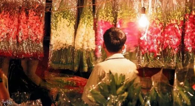 A person admiring flowers at night in the peaceful Ho Thi Ky Flower Market.