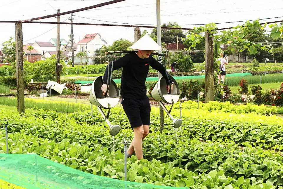 Tra Que farmers meticulously tending to each vegetable bed, from fertilizing with seaweed to watering by carrying buckets, showing dedication and traditional farming techniques