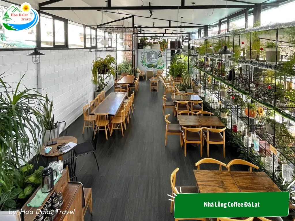 Nha Long Coffee in Da Lat stands out with spacious space and beautiful valley views