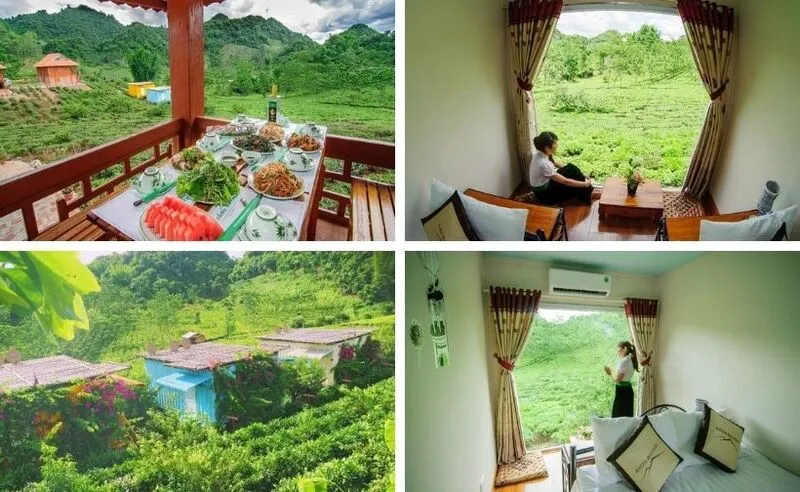 Những bungalow container đầy màu sắc tại Mộc Châu Arena Village, hòa mình vào không gian xanh của đồi chè