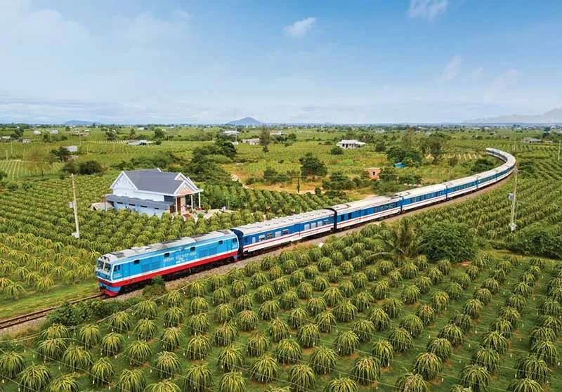 Những cánh đồng thanh long bạt ngàn trên tuyến đường sắt Sài Gòn - Bình Thuận, mở ra hành trình du lịch bằng tàu hỏa đến Mũi Né đầy nắng và gió.