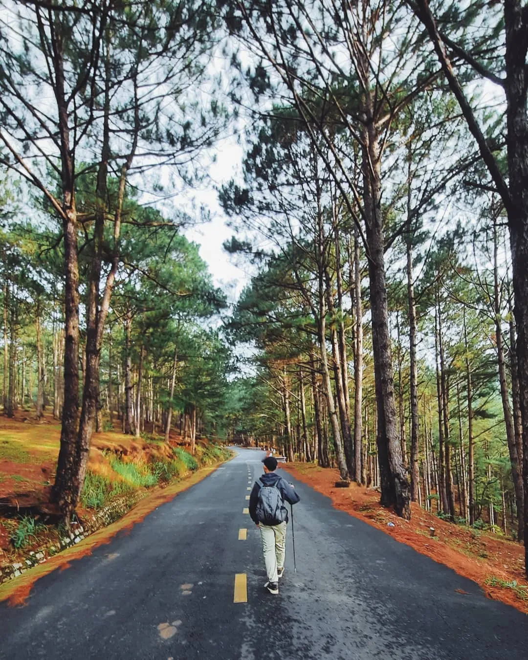 Romantic trails on Langbiang mountain