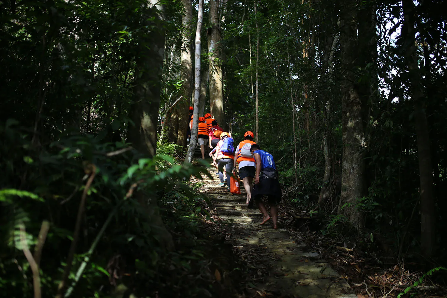 Challenging but rewarding jungle trails on the trekking journey to K50 Waterfall