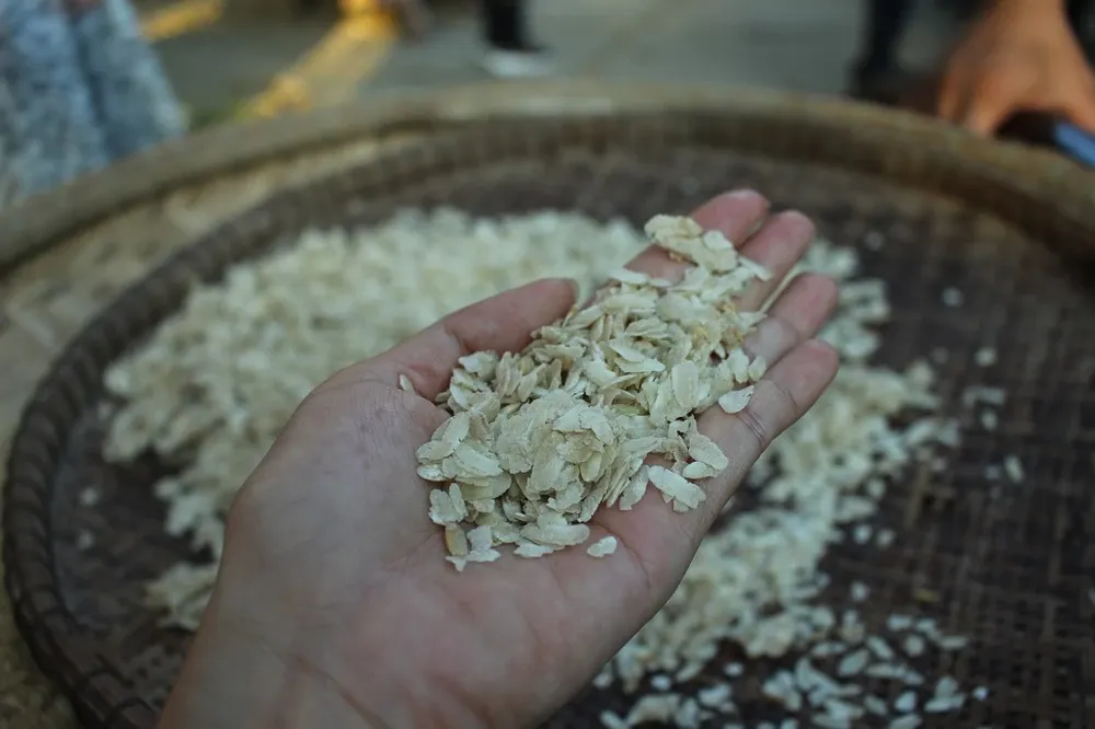 Ripe golden sticky rice grains, the main ingredient for making Tra Vinh Com Dep
