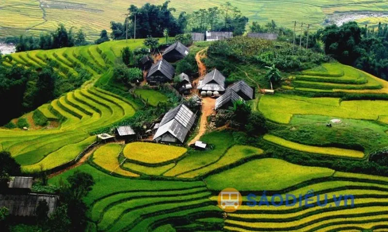 Simple houses among the terraced fields of Ta Van