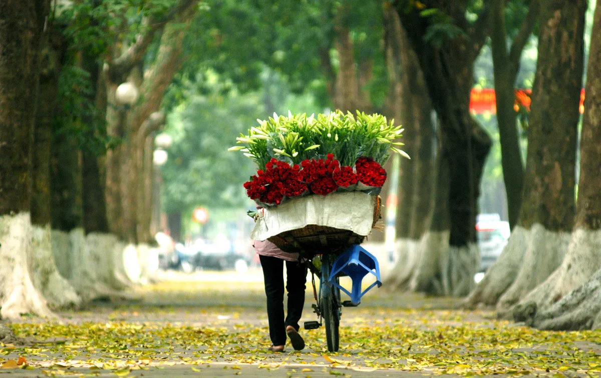 Những xe chở đầy hoa như chở cả mùa thu Hà Nội