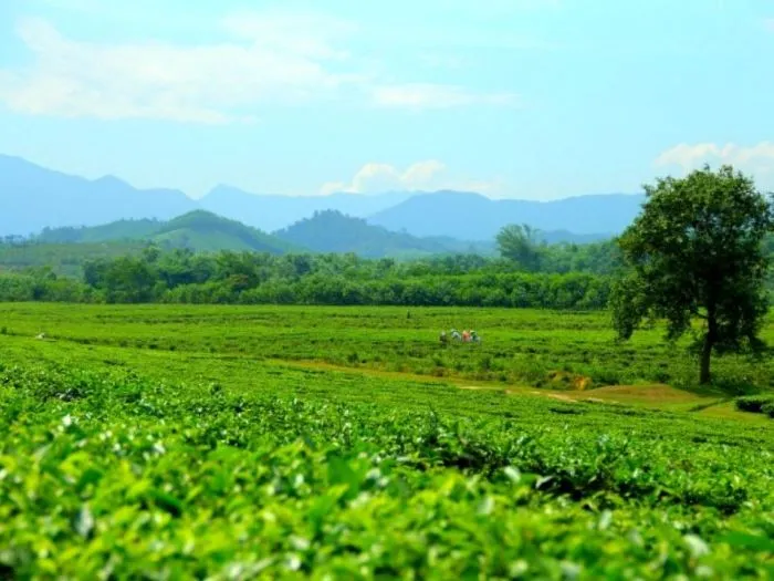 This place is likened to a green paradise with a cool climate