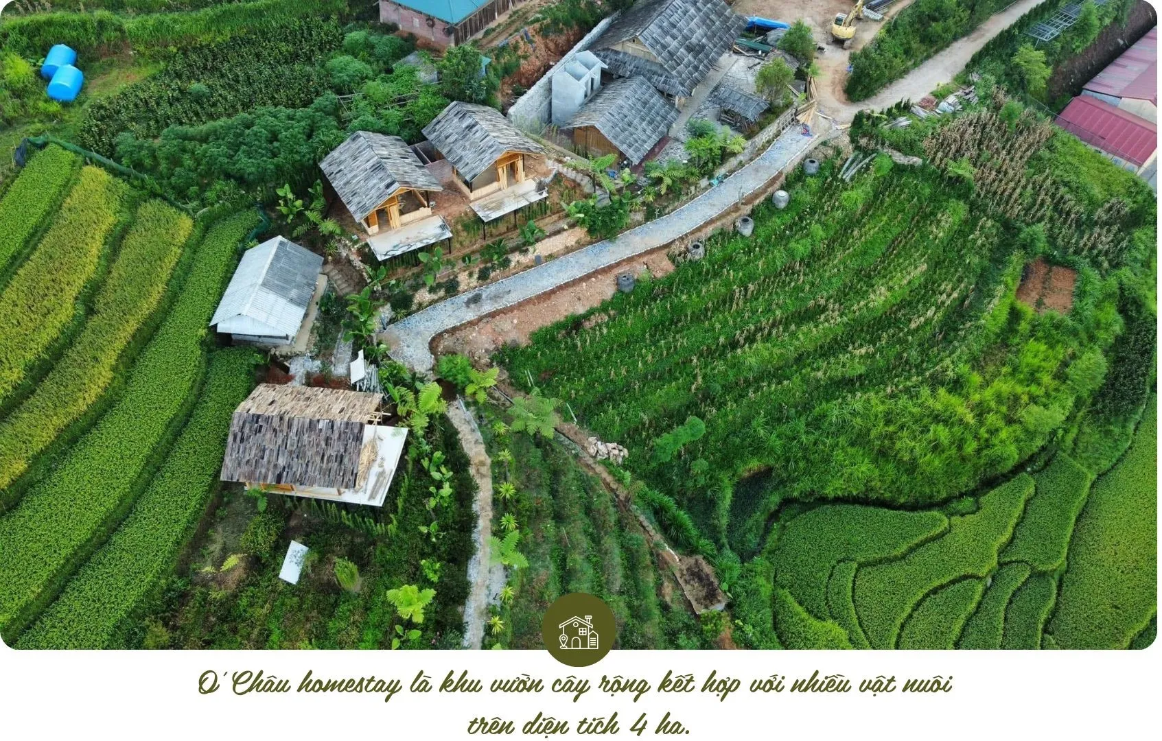 O'Châu homestay Lào Cai với khu vườn cây và vật nuôi đa dạng, hấp dẫn du khách trải nghiệm du lịch nông nghiệp.