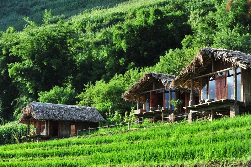Phơri's House Sapa với thiết kế mộc mạc, gần gũi thiên nhiên và mang đến cảm giác ấm cúng như ở nhà
