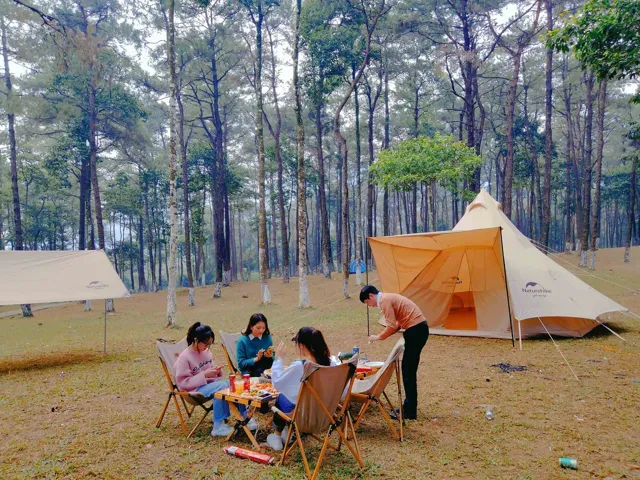 Romantic picnic in Ba Vi pine forest after the wild sunflower hunting trip