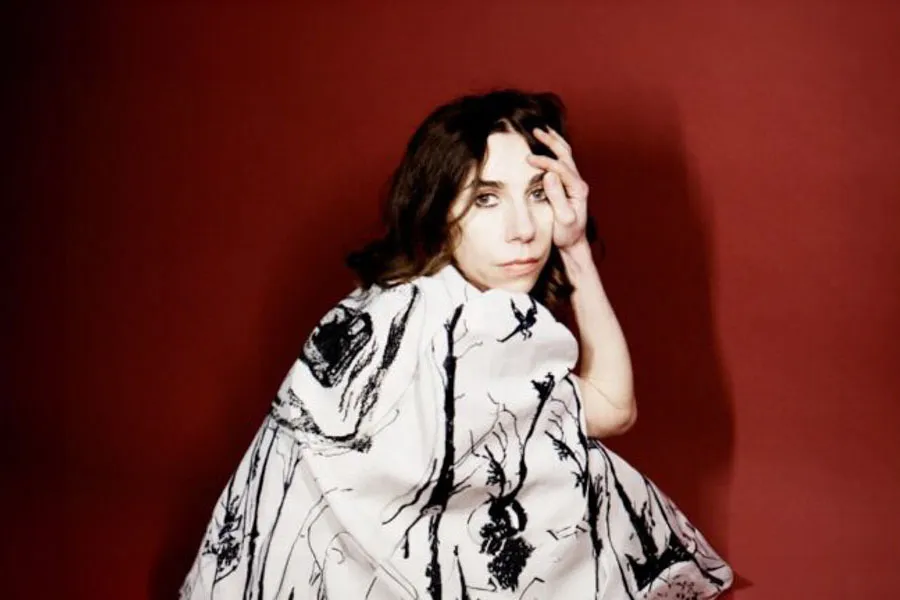 PJ Harvey performing on stage
