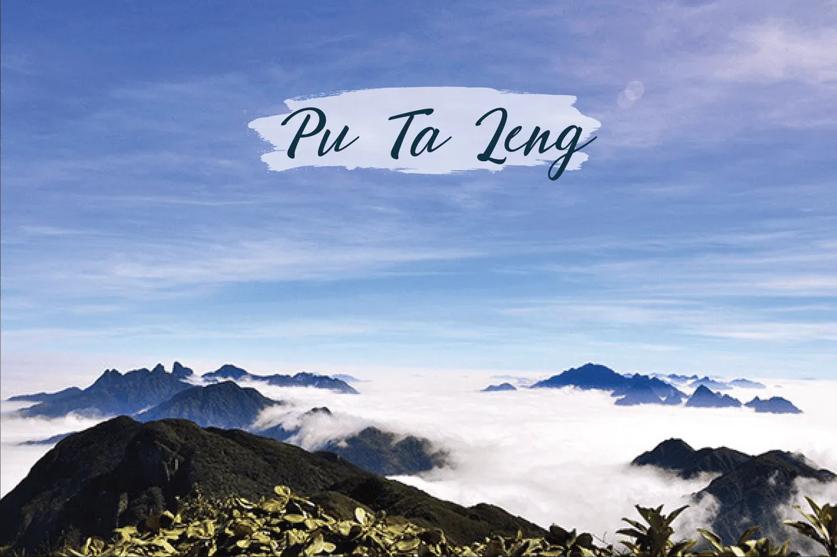 Pu Ta Leng - Rừng nguyên sinh hiếm hoi ở Việt Nam