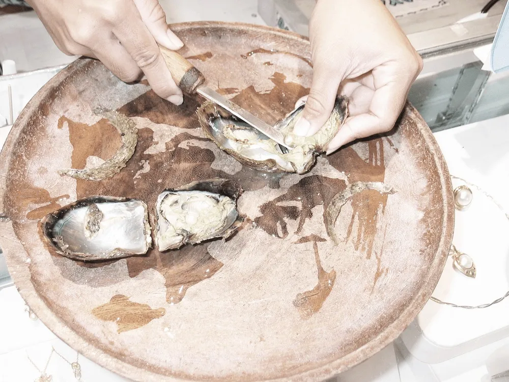 This pearl extraction process requires extreme care and precision.