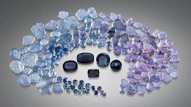 Rough and cut sapphires, blue to violet or purple, Yogo Gulch mine, Montana, USA. 