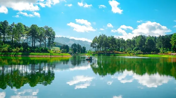 Path through Ang Village Pine Forest in Moc Chau
