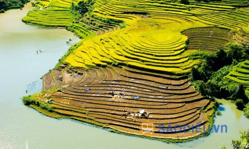 Unique terraced fields in Muong Hum