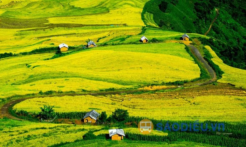 Unique circular terraced fields in Khu Chu Lin, Y Ty