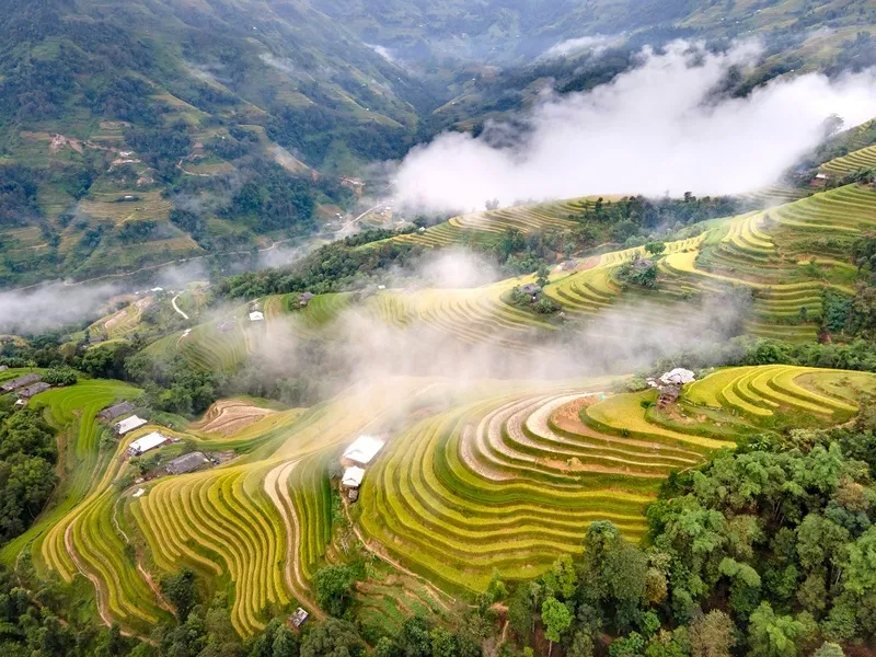 Ruộng bậc thang Hoàng Su Phì chìm trong làn mây mờ ảo, tạo nên một khung cảnh huyền bí và thơ mộng, đặc biệt vào mùa thu.