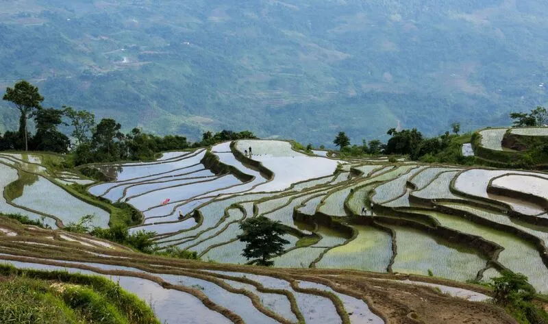 Ruộng bậc thang Hồng Thái Tuyên Quang mùa nước đổ tạo nên một bức tranh thủy mặc tuyệt đẹp với những thửa ruộng ngập nước phản chiếu mây trời.