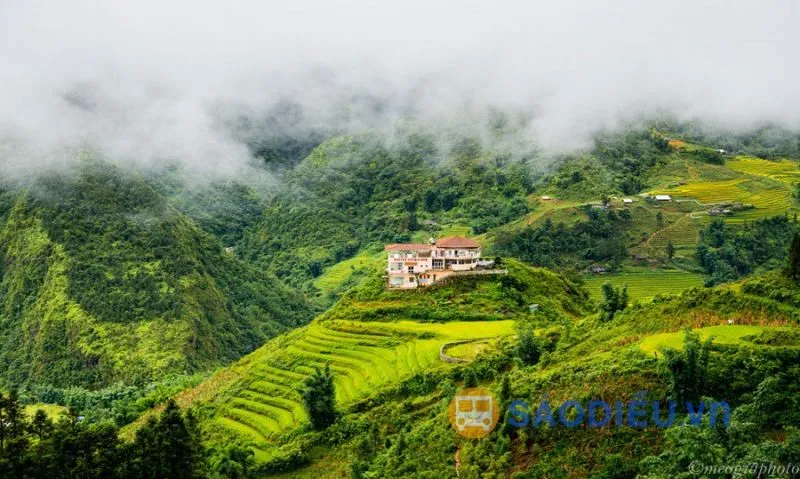 Terraced fields nestled beside stilt houses in Cat Cat village