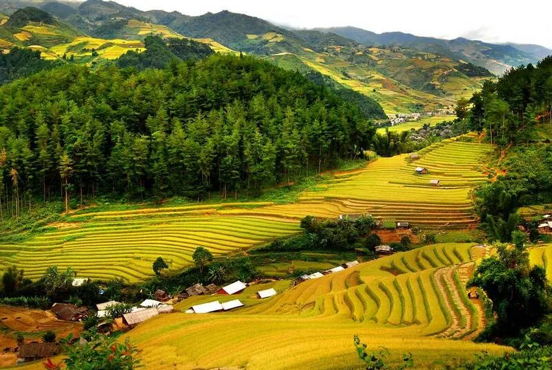 Ruộng bậc thang Pù Luông mang vẻ đẹp của vùng Tây Bắc với những thửa ruộng trải dài và những nếp nhà sàn đơn sơ.