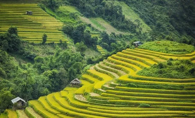 Ruộng bậc thang Sapa - Vẻ đẹp độc đáo của miền núi phía Bắc