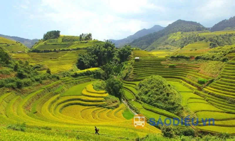Ta Giang Phinh rice terraces viewed from National Highway 4D